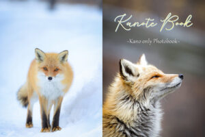 Kanote Book ~Kano only Photobook~
