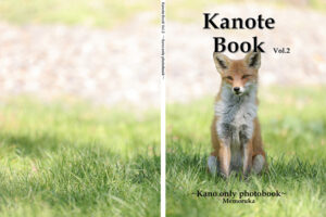 Kanote Book ~Kano only Photobook~ Vol.2