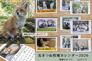 北きつね牧場カレンダー2026　壁掛けタイプ　卓上タイプ