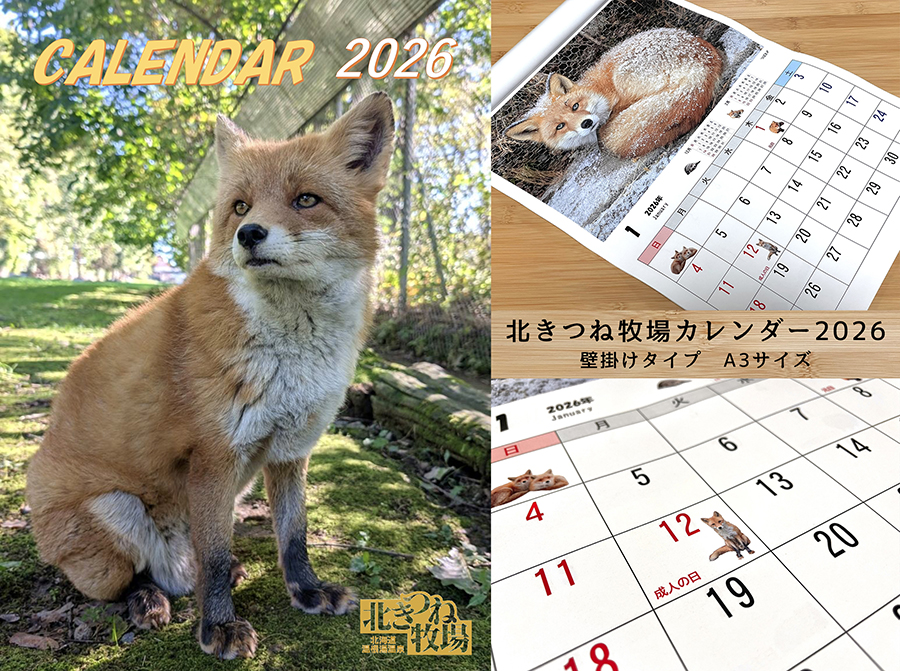 北きつね牧場カレンダー